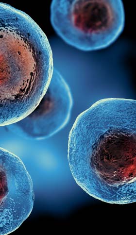 embryonic stem cells cellular therapy